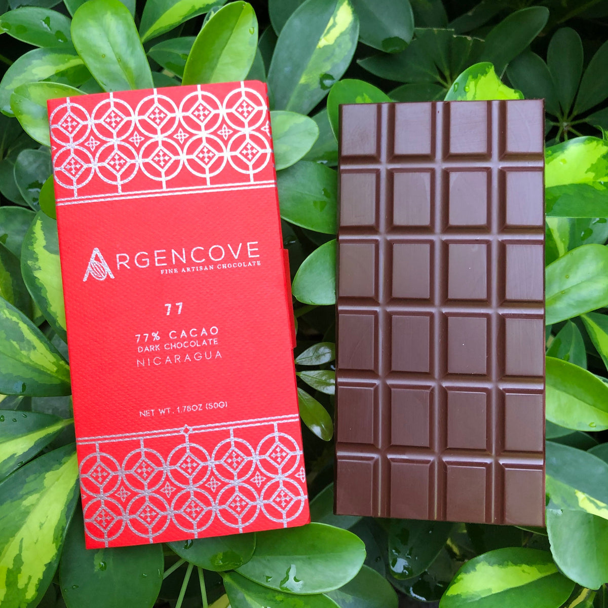 77' 77% Cacao (Nicaragua) – Argencove